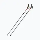 Nordic walking botok