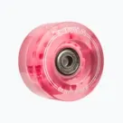 Görkorcsolya tartozékok és alkatrészek