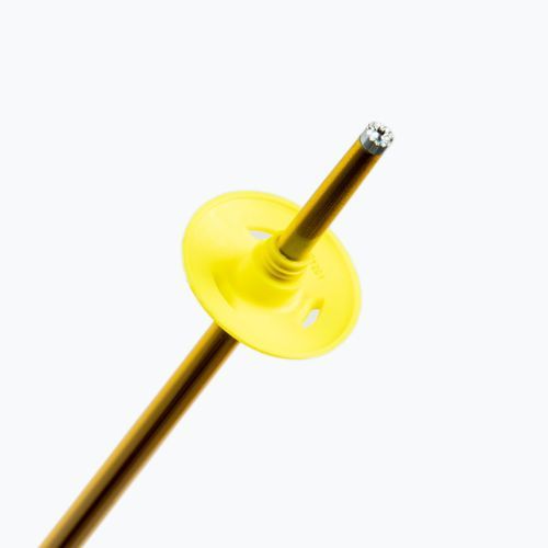 Salomon Arctic síbotok sárga L40559200