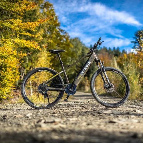 Elektromos kerékpár Ecobike SX300/X300 LG 14Ah zöld 1010404