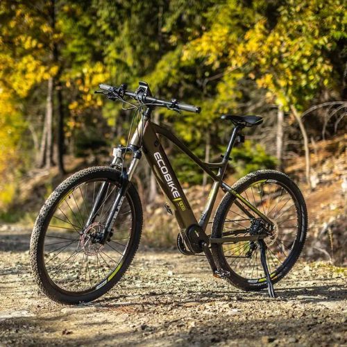 Elektromos kerékpár Ecobike SX300/X300 LG 14Ah zöld 1010404