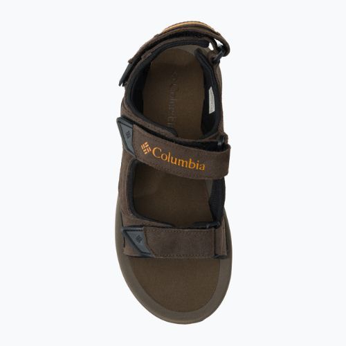 Férfi trekking szandál Columbia Trailstorm Hiker 3 Strap 231 barna 1987221