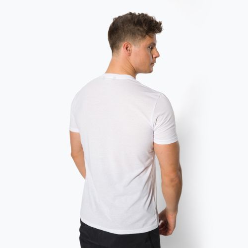 Férfi Salewa Lines Graphic Dry trekking póló fehér 00-0000028065