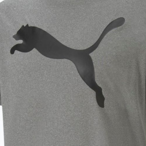 Férfi edzőpóló PUMA Active Big Logo Tee szürke 586724_09