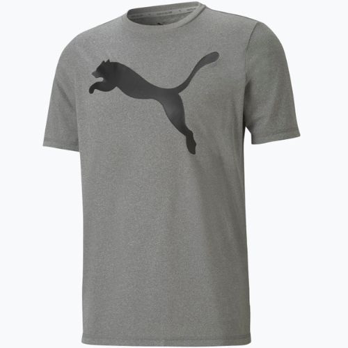 Férfi edzőpóló PUMA Active Big Logo Tee szürke 586724_09