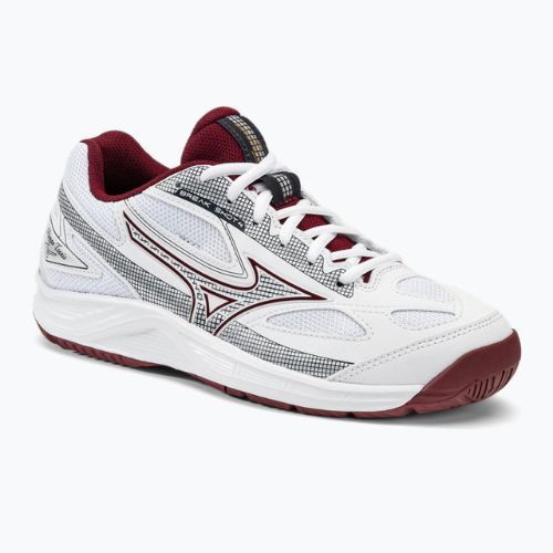 Női teniszcipő Mizuno Break Shot 4 AC fehér 61GA232664
