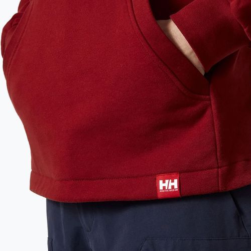 Férfi Helly Hansen Arctic Ocean kapucnis pulóver bordó 30361_215