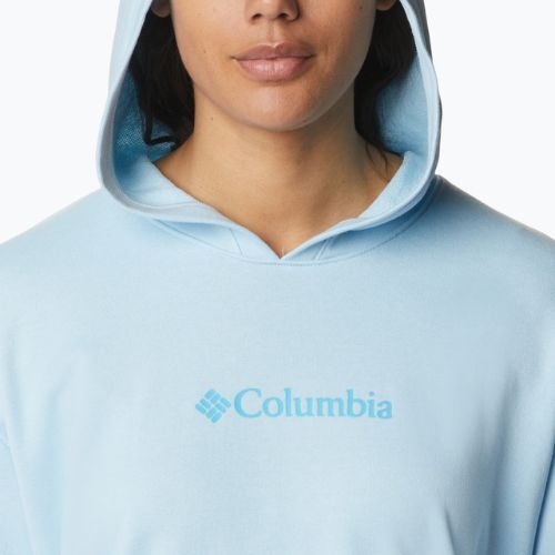Női trekking pulóver Columbia Logo III French Terry kék 2032871490