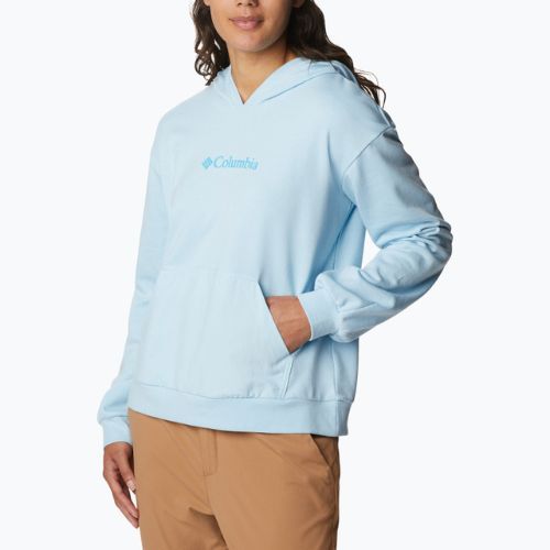 Női trekking pulóver Columbia Logo III French Terry kék 2032871490
