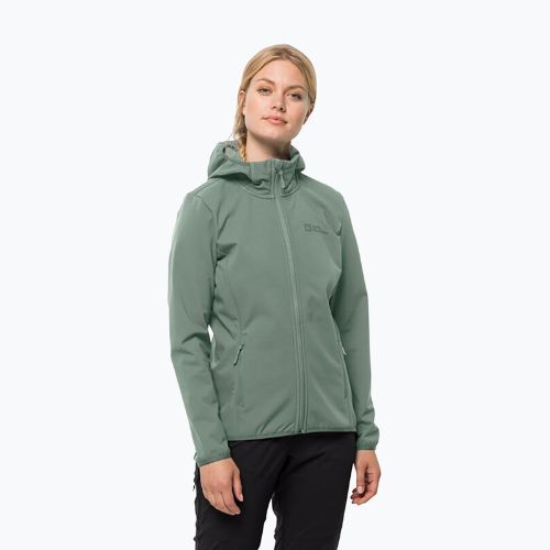 Női softshell dzseki Jack Wolfskin Bornberg Hoody zöld 1307691