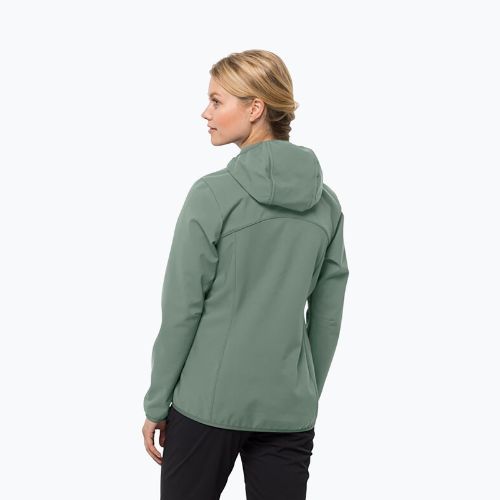 Női softshell dzseki Jack Wolfskin Bornberg Hoody zöld 1307691