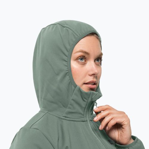 Női softshell dzseki Jack Wolfskin Bornberg Hoody zöld 1307691