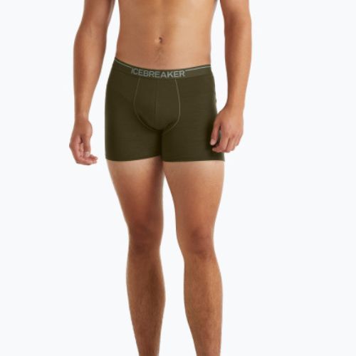 Férfi thermo boxeralsó jégtörő Anatomica Loden 103029