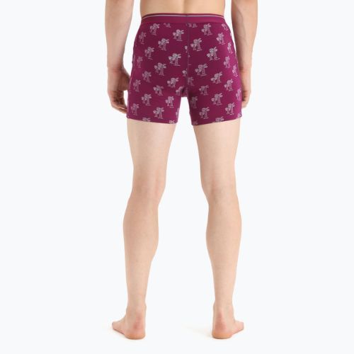 Férfi thermo boxeralsó jégtörő Anatomica Go Berry 103029