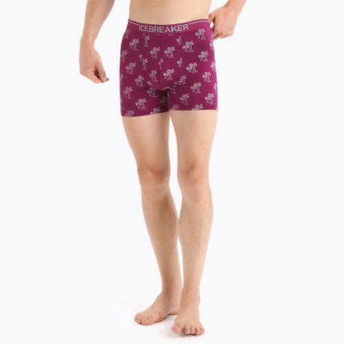 Férfi thermo boxeralsó jégtörő Anatomica Go Berry 103029