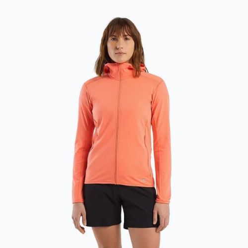 Női trekking pulóver Arc'teryx Kyanite LT Hoody szürke X000005692046