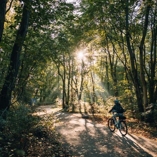 Kellys Cristy 40 női trekking kerékpár lila 72344