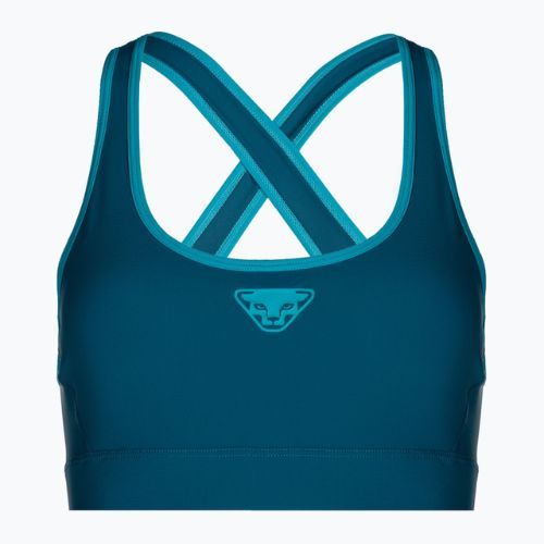 DYNAFIT Alpine kék futómelltartó 08-0000071478