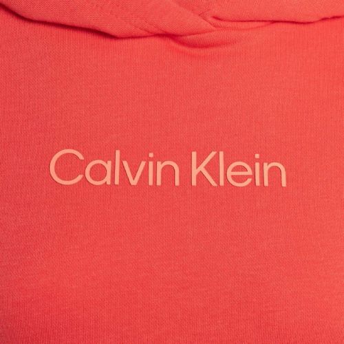 Férfi Calvin Klein kapucnis pulóver 97A hűvös dinnye