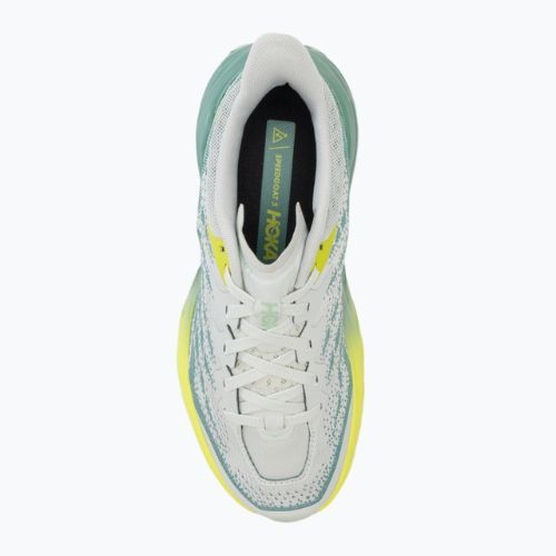 Női futócipő HOKA Speedgoat 5 Wide fesztivál mercury/trellis