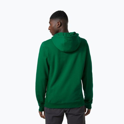 Férfi trekking pulóver Helly Hansen F2F Organic Cotton Hoodie malachite malachite