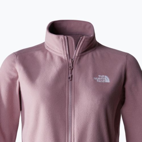 Női gyapjú pulóver The North Face 100 Glacier Fz fawn szürke