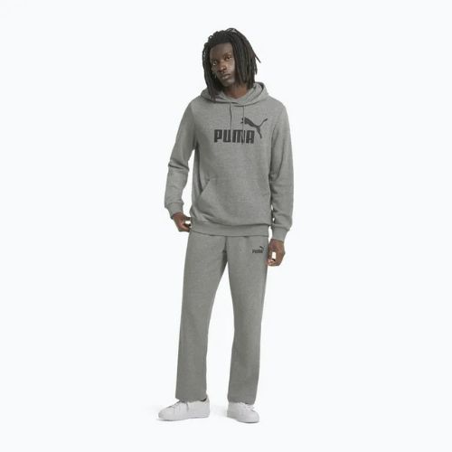 Férfi pulóver PUMA Essentials Big Logo Hoodie TR medium gray heather