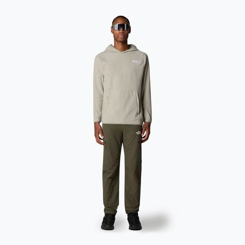 Férfi pulóver The North Face 100 Glacier Hoodie agyagszürke szürke
