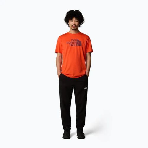 The North Face férfi Easy bíborvörös narancs/alpin szilva póló