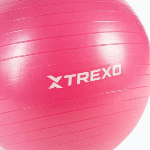 TREXO Gymball TXO-B4Z007-PK 55 cm rózsaszínű