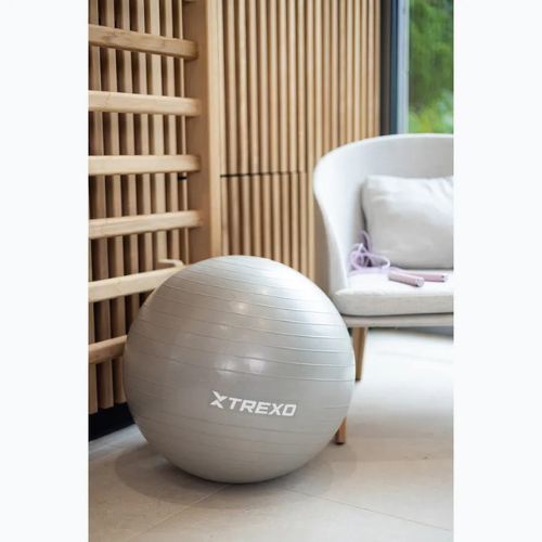 TREXO Gymball TXO-B4Z007-GY 55 cm szürke