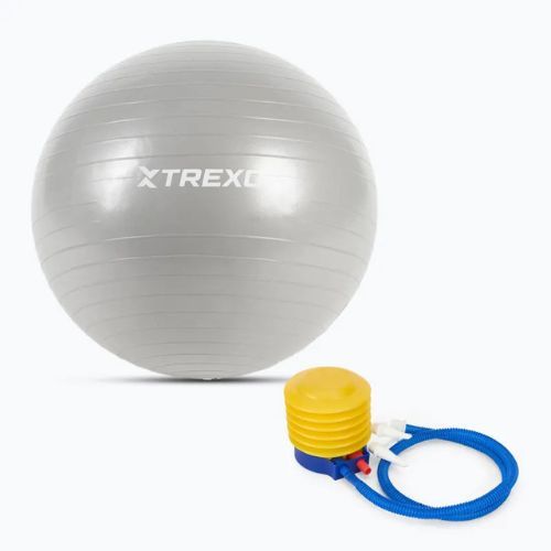 TREXO Gymball TXO-B4Z007-GY 55 cm szürke