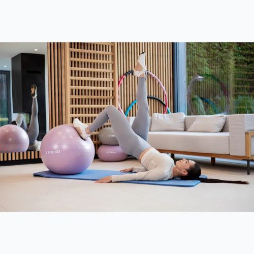 Gimnasztikai labda XTREXO TXO-B4Z008-VT 65 cm lila