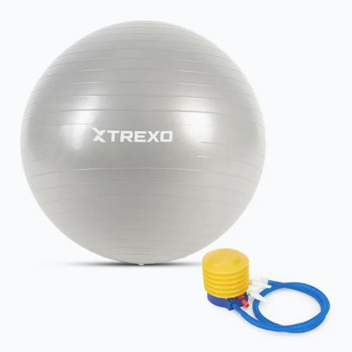 TREXO Gymball TXO-B4Z008-GY 65 cm szürke