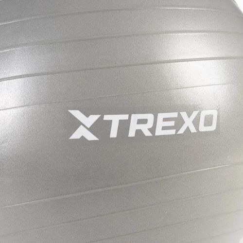 TREXO Gymball TXO-B4Z008-GY 65 cm szürke