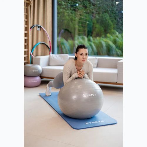 TREXO Gymball TXO-B4Z008-GY 65 cm szürke