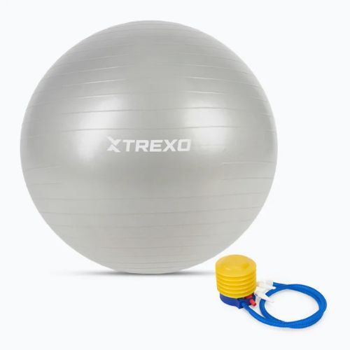 TREXO Gymball TXO-B4Z009-GY 75 cm szürke