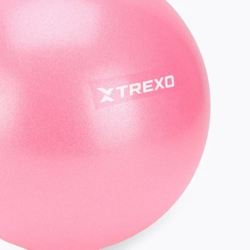 Mini gimnasztikai labda TREXO TXO-B4Z010-PK 20 cm rózsaszín