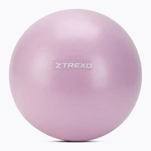 Mini gimnasztikai labda TREXO TXO-B4Z011-VT 25 cm lila