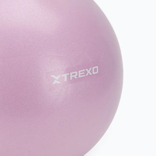 Mini gimnasztikai labda TREXO TXO-B4Z011-VT 25 cm lila