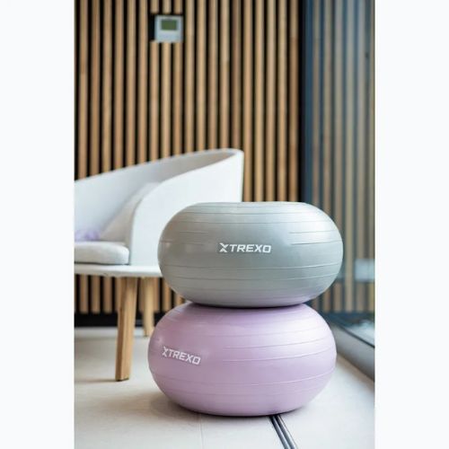 TREXO Donut Gymball TXO-B4Z073-GY 50 cm szürke