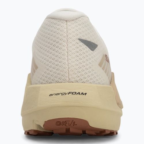 Férfi futócipő Salomon Drx Defy GRVL vanília ice/green haze/white pepper