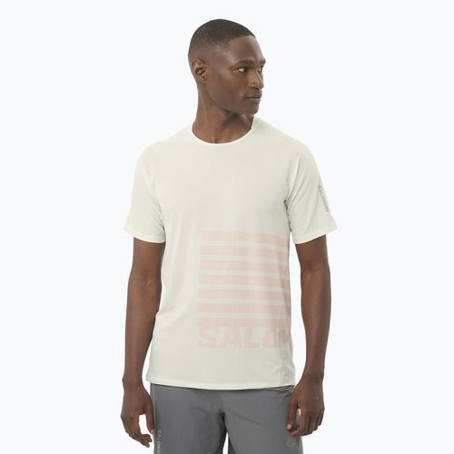 Férfi Salomon Sense Aero Tee GFX jégcsap/neon láng futó póló