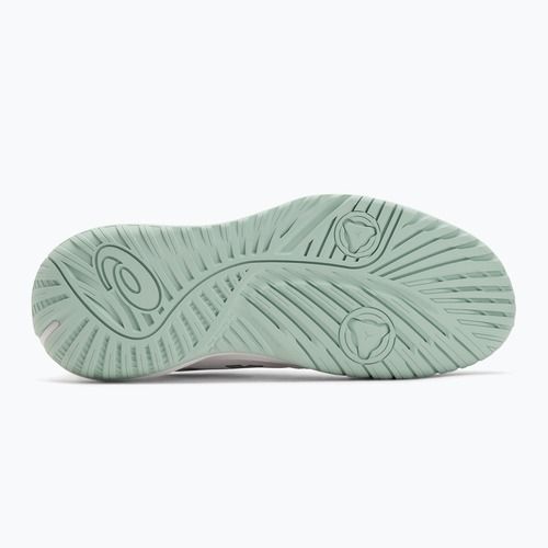 Férfi teniszcipő Asics Gel-Challenger 15 fehér/lichen rock