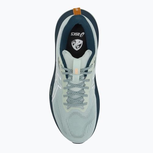 ASICS GT-1000 14 TR férfi futócipő természetfürdő/lichen rock