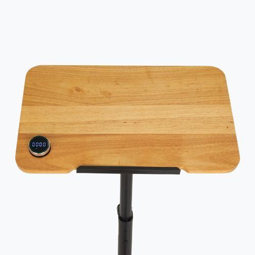 Elektromos kerékpár XTREXO EB400-desk black