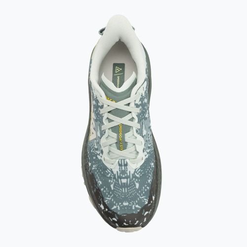 Férfi futócipő HOKA Speedgoat 6 GTX sea flass/fern