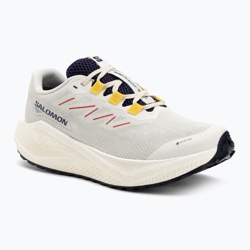 Férfi Salomon Aero Blaze 3 Gravel GTX futócipő vanilla ice/astral aura/lemon