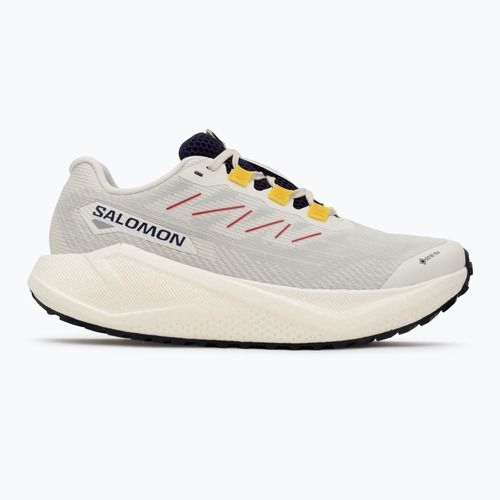 Női Salomon Aero Blaze 3 Gravel GTX futócipő vanilla ice/astral aura/lemon