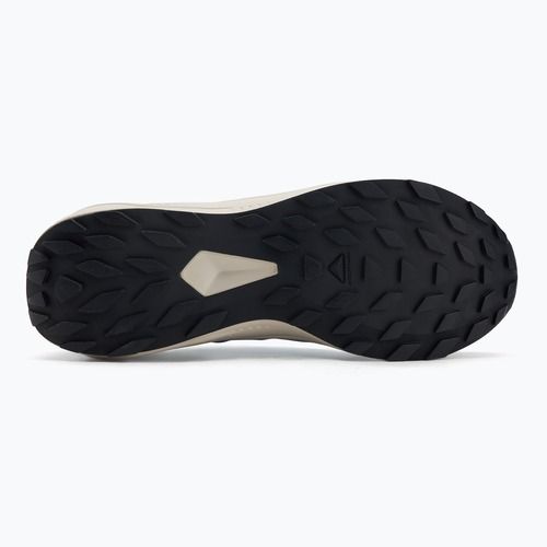Férfi futócipő Salomon Alphaglide GTX blue night/lunar rock/french blue